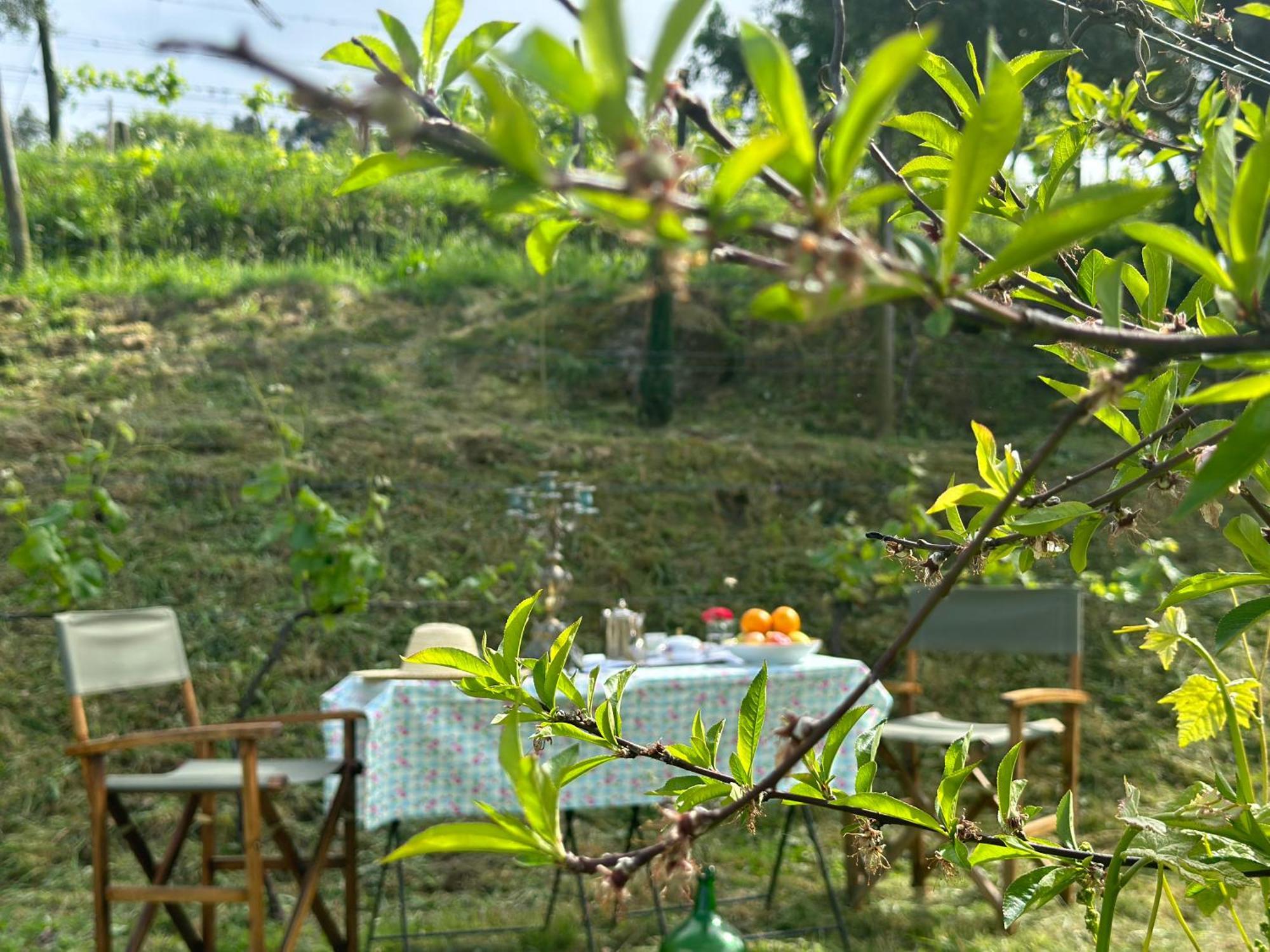 Carmo'S Boutique Hotel - Small Luxury Hotels Of The World Ponte de Lima Eksteriør bilde